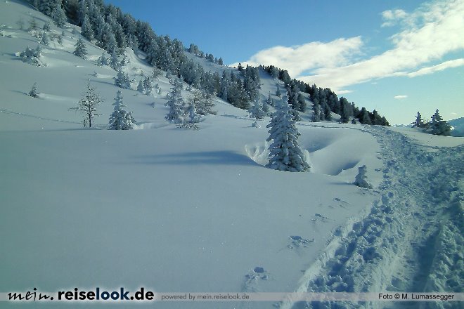 241_winterurlaub_ski
